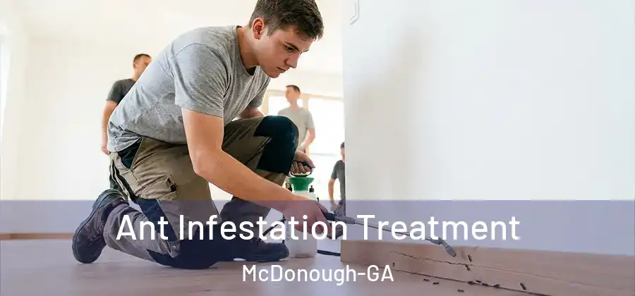 Ant Infestation Treatment McDonough-GA