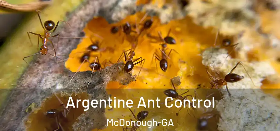 Argentine Ant Control McDonough-GA