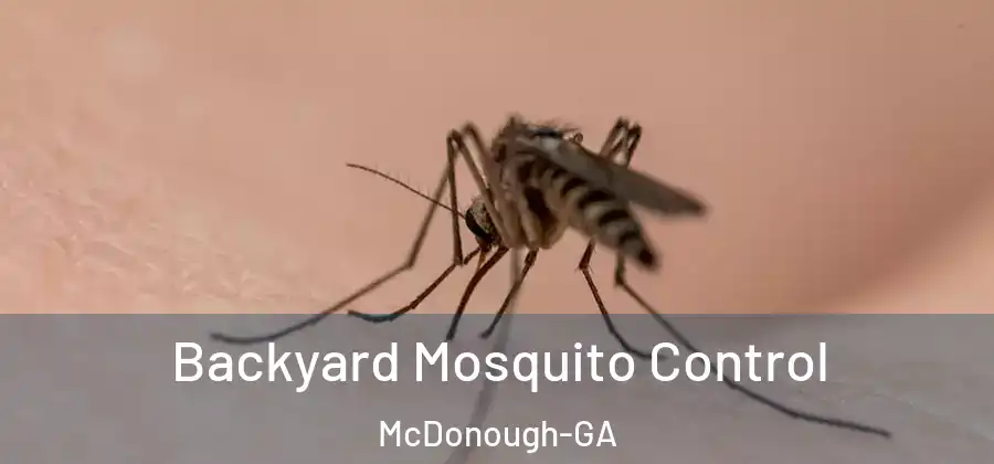  Backyard Mosquito Control McDonough-GA
