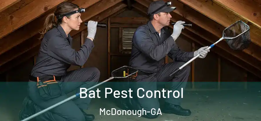 Bat Pest Control McDonough-GA