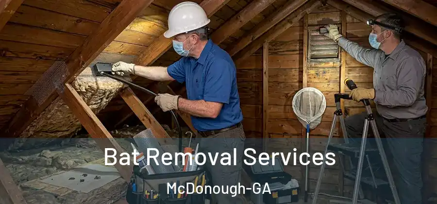 Bat Removal Services McDonough-GA