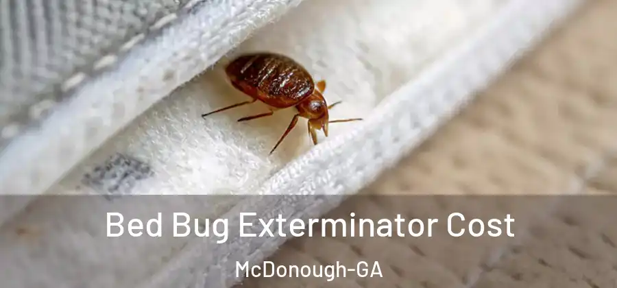  Bed Bug Exterminator Cost McDonough-GA