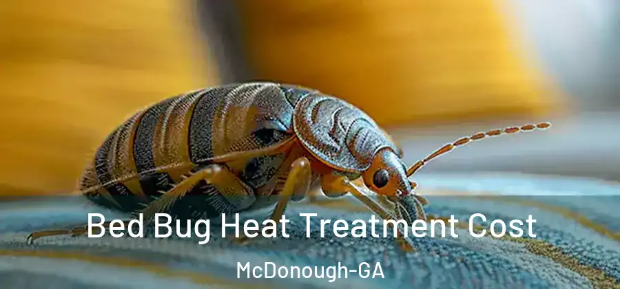 Bed Bug Heat Treatment Cost McDonough-GA