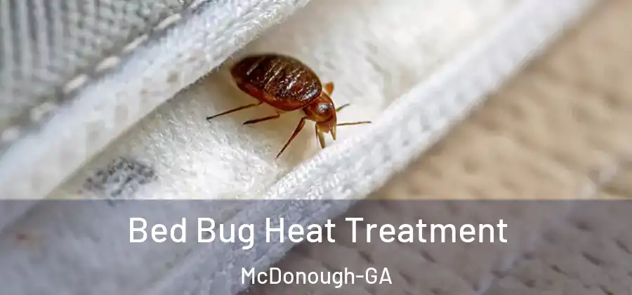 Bed Bug Heat Treatment McDonough-GA