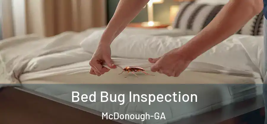 Bed Bug Inspection McDonough-GA