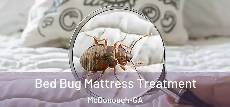  Bed Bug Mattress Treatment McDonough-GA