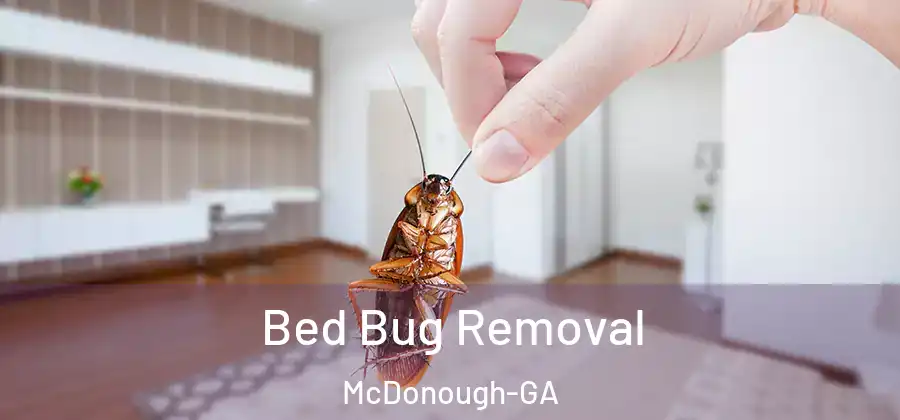 Bed Bug Removal McDonough-GA