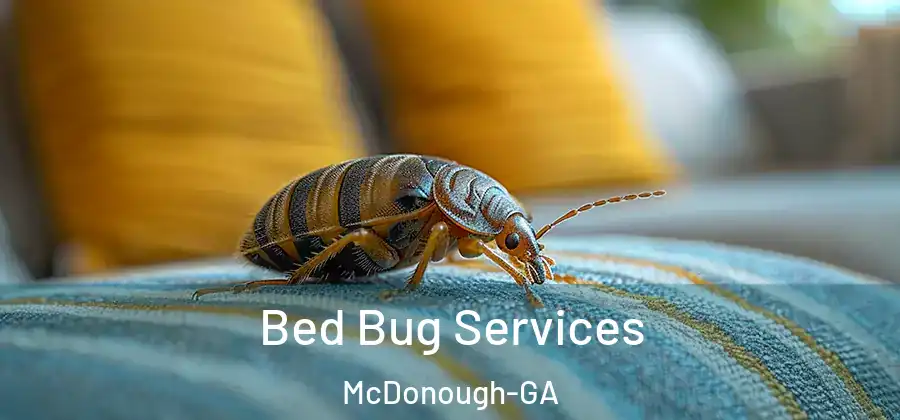 Bed Bug Services McDonough-GA