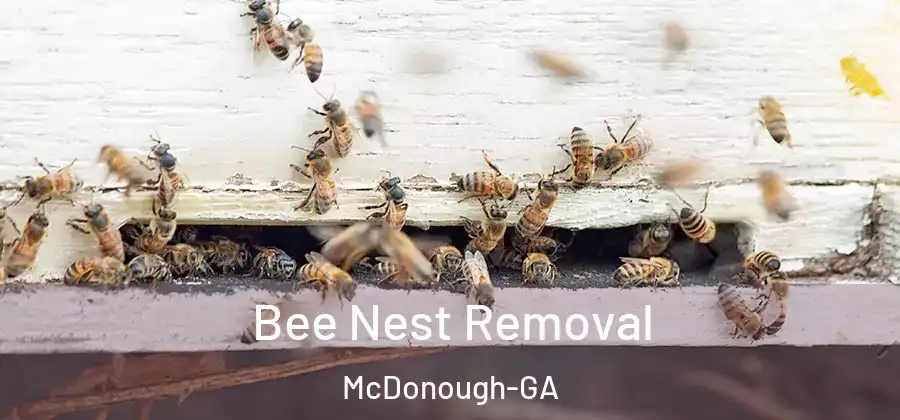 Bee Nest Removal McDonough-GA