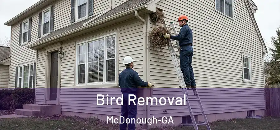Bird Removal McDonough-GA