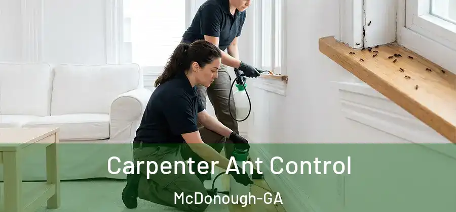 Carpenter Ant Control McDonough-GA