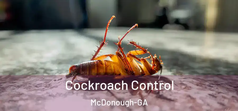 Cockroach Control McDonough-GA