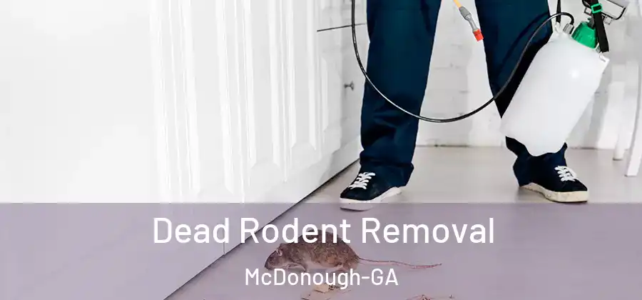 Dead Rodent Removal McDonough-GA