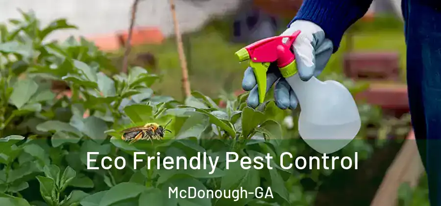 Eco Friendly Pest Control McDonough-GA