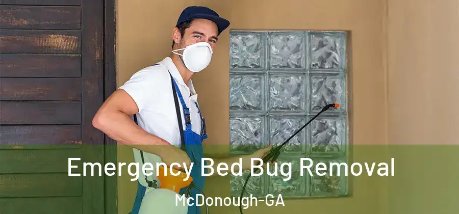  Emergency Bed Bug Removal McDonough-GA