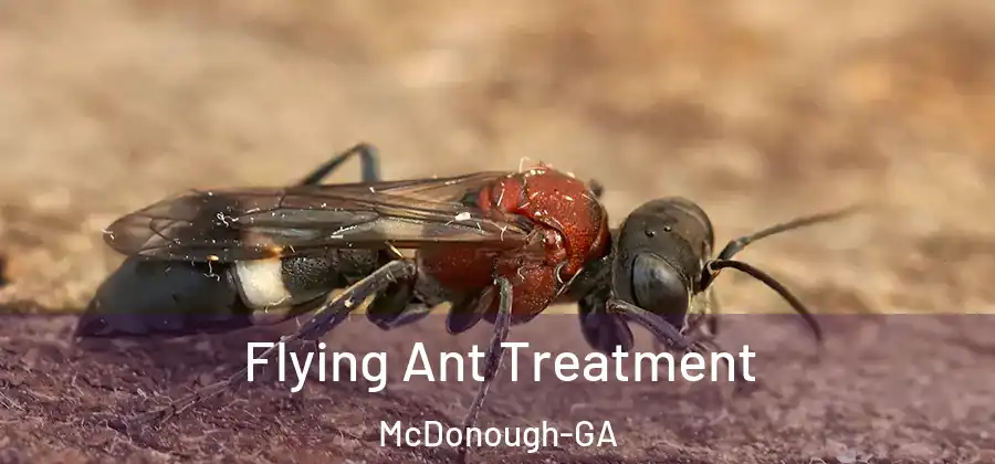  Flying Ant Treatment McDonough-GA
