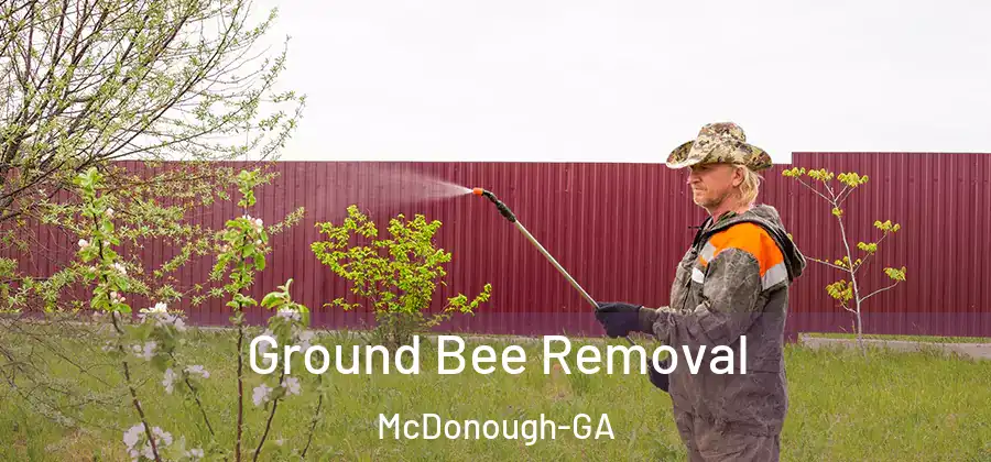 Ground Bee Removal McDonough-GA
