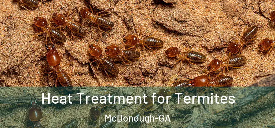 Heat Treatment for Termites McDonough-GA
