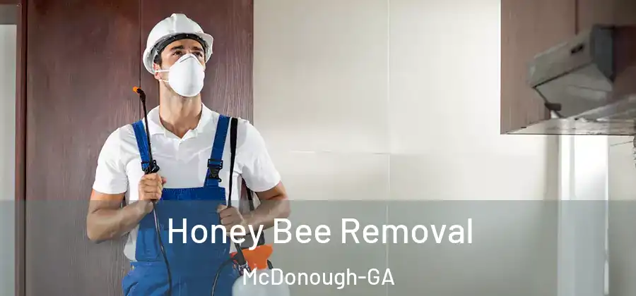  Honey Bee Removal McDonough-GA