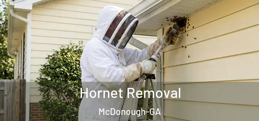  Hornet Removal McDonough-GA