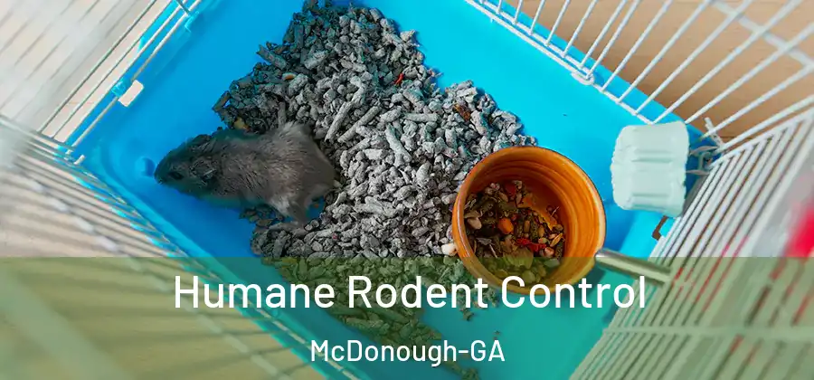  Humane Rodent Control McDonough-GA