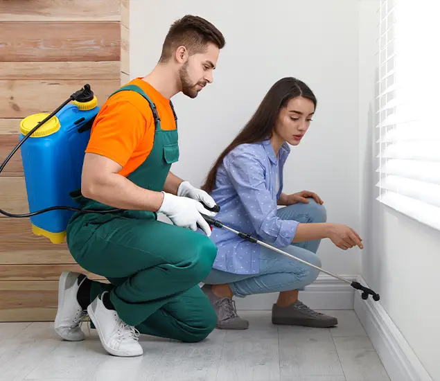 Trusted Affordable Bed Bug Treatment Experts in McDonough, GA