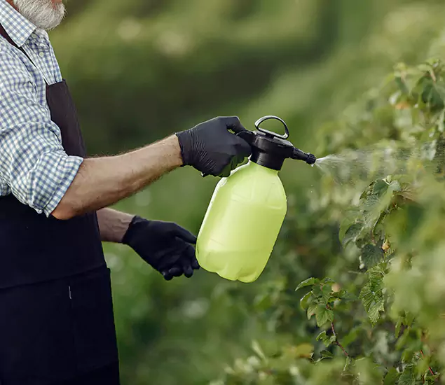Your Proven Mosquito Treatment Company in McDonough, GA