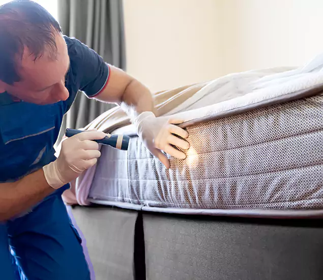 Trusted Bed Bug Cost Experts in McDonough, GA