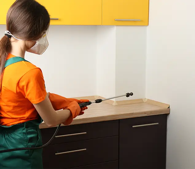 Trusted Bed Bug Pest Control Specialist in McDonough, GA