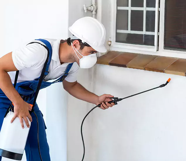 Your Professional Cockroach Exterminator in McDonough, GA