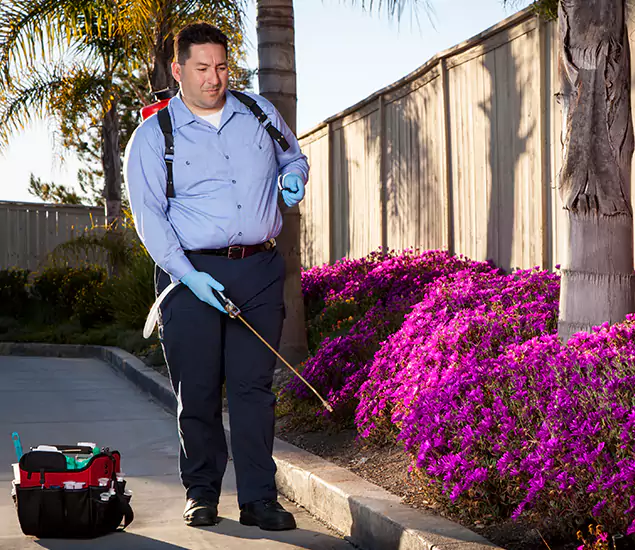 About Our Eco Safe Pest Control Experts in McDonough, GA