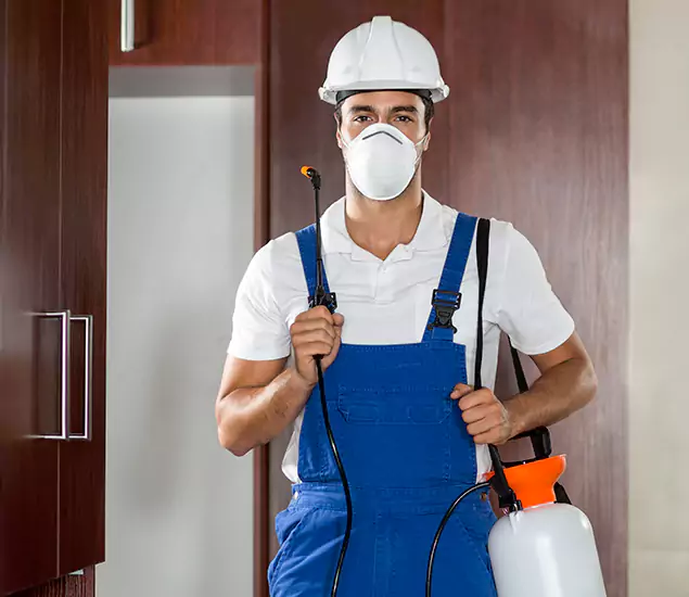 Trusted Exterminator and Pest Exterminator Professionals in McDonough, GA