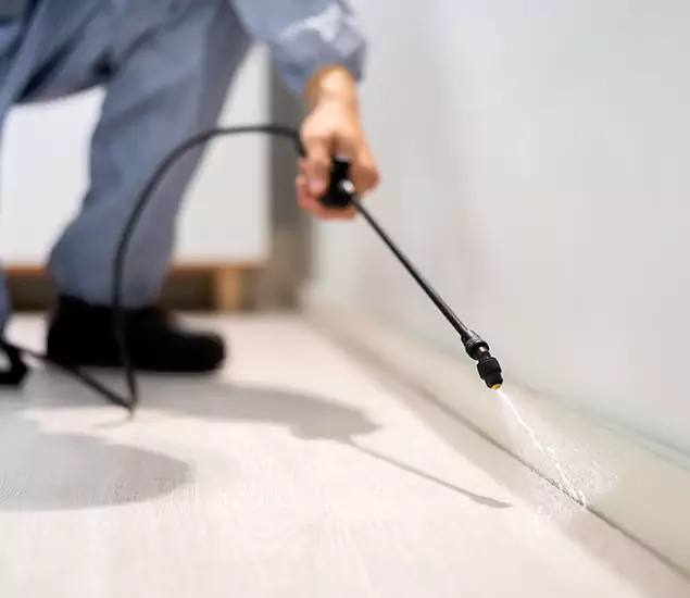 About Our Liquid Termite Treatment Experts in McDonough, GA