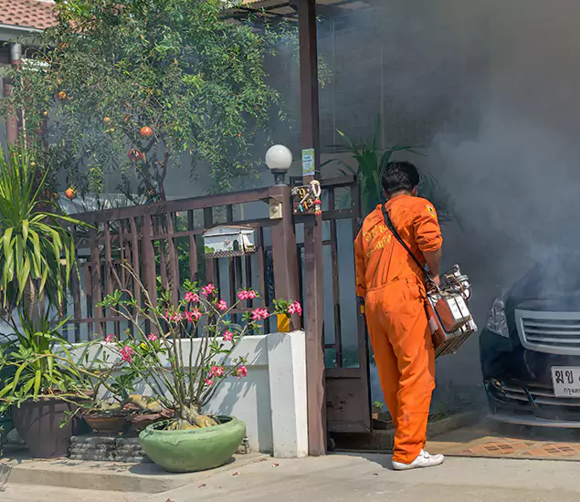 Your Proven Mosquito Fogging Company in McDonough, GA