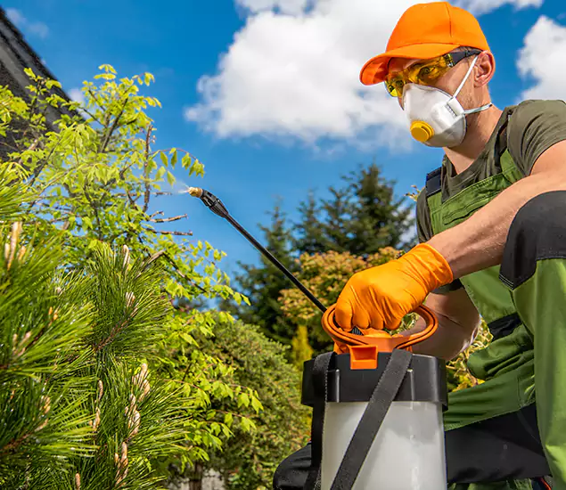 Your Best Bug Spray for Home Team in McDonough, GA