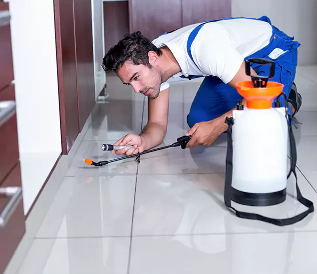 Reliable Professional Mouse Removal: Your Best Mouse Control Company in McDonough, GA