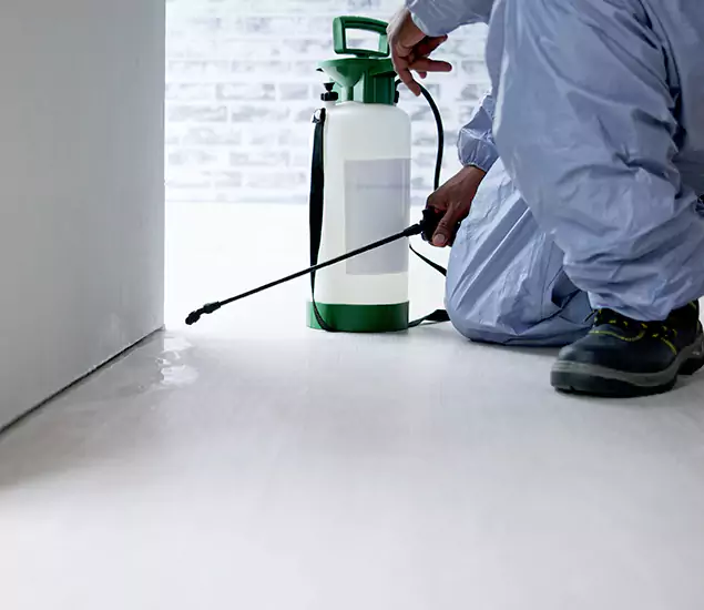 Affordable Pest Control Experts in McDonough, GA