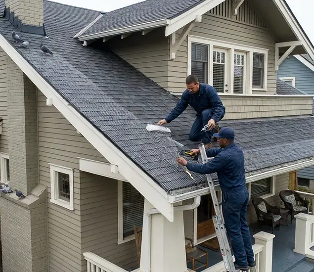 Your Pigeon Control Experts in McDonough, GA