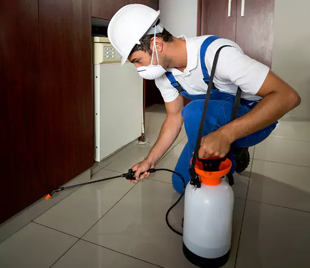 Advanced Termite Pre Treatment Experts in McDonough, GA