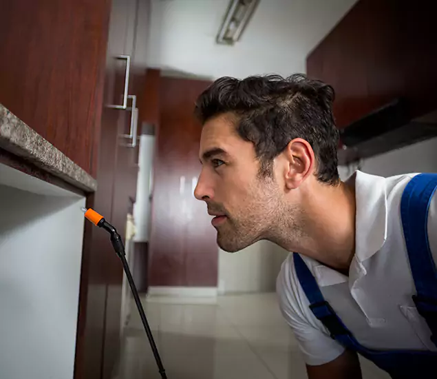 Expert Rodent in Attic Removal: Your Proven Pest Specialists in McDonough, GA