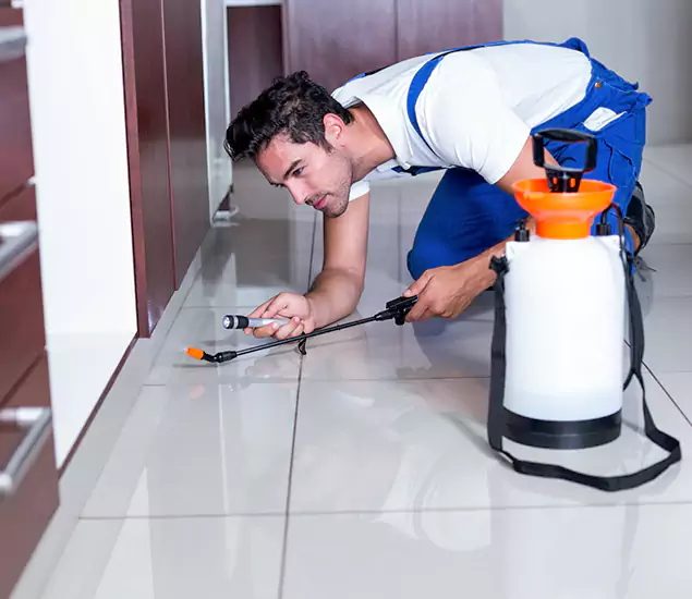 Advanced Slab Termite Treatment Experts You Can Trust&nbsp;in McDonough, GA