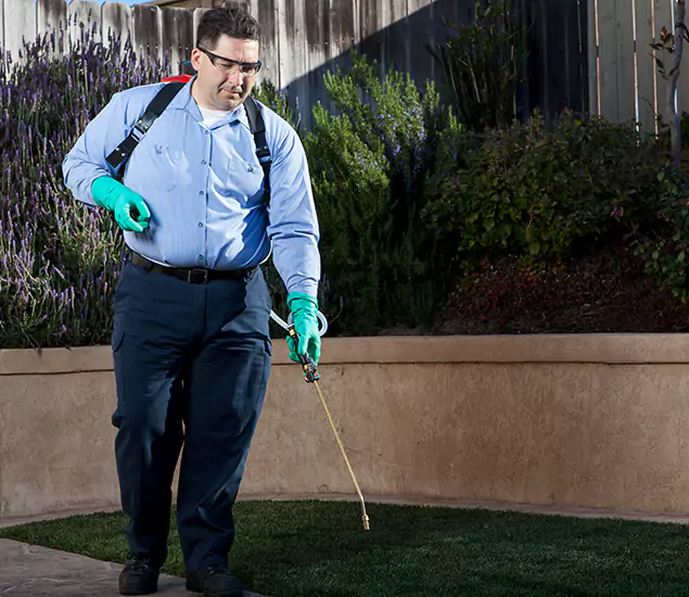 Reliable Termite Barrier Treatment Experts in McDonough, GA