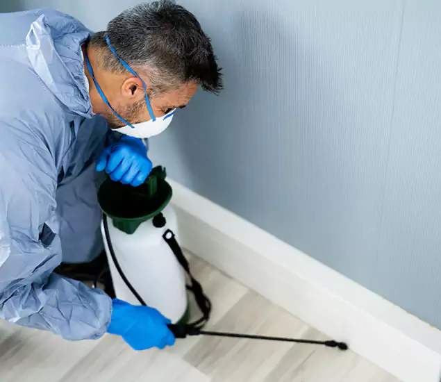 Reliable Termite Cost Experts in McDonough, GA