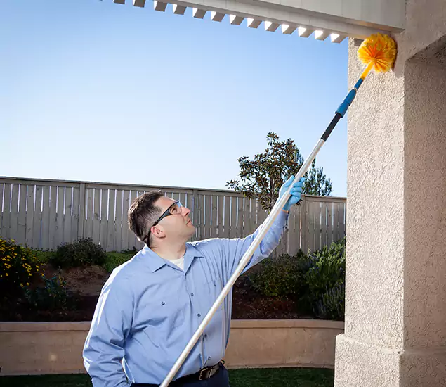 Your Trusted Wasp Removal Company in McDonough, GA