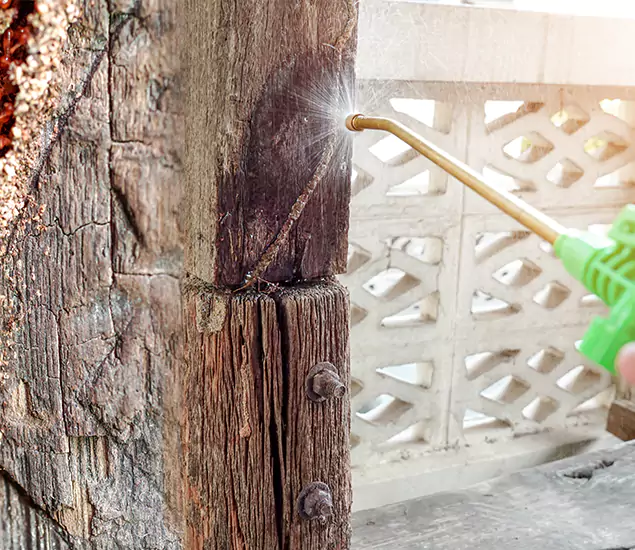 About Wood Termite Treatment Services in McDonough, GA