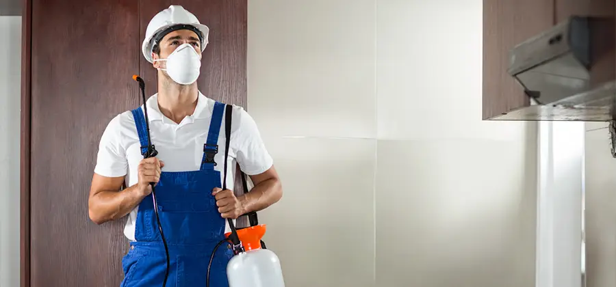 Per Room Bed Bug Cost in McDonough