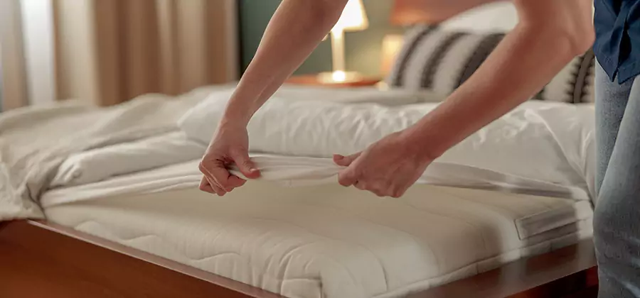 Bed Bug Extermination Services in McDonough