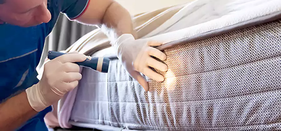 Residential Bed Bug Treatment Cost in McDonough