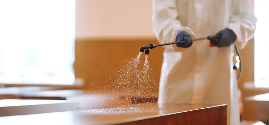 Residential Bed Bug Treatment Option in McDonough