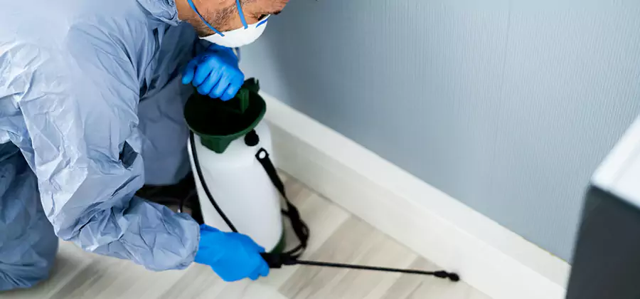 Fumigate Apartment Roaches in McDonough